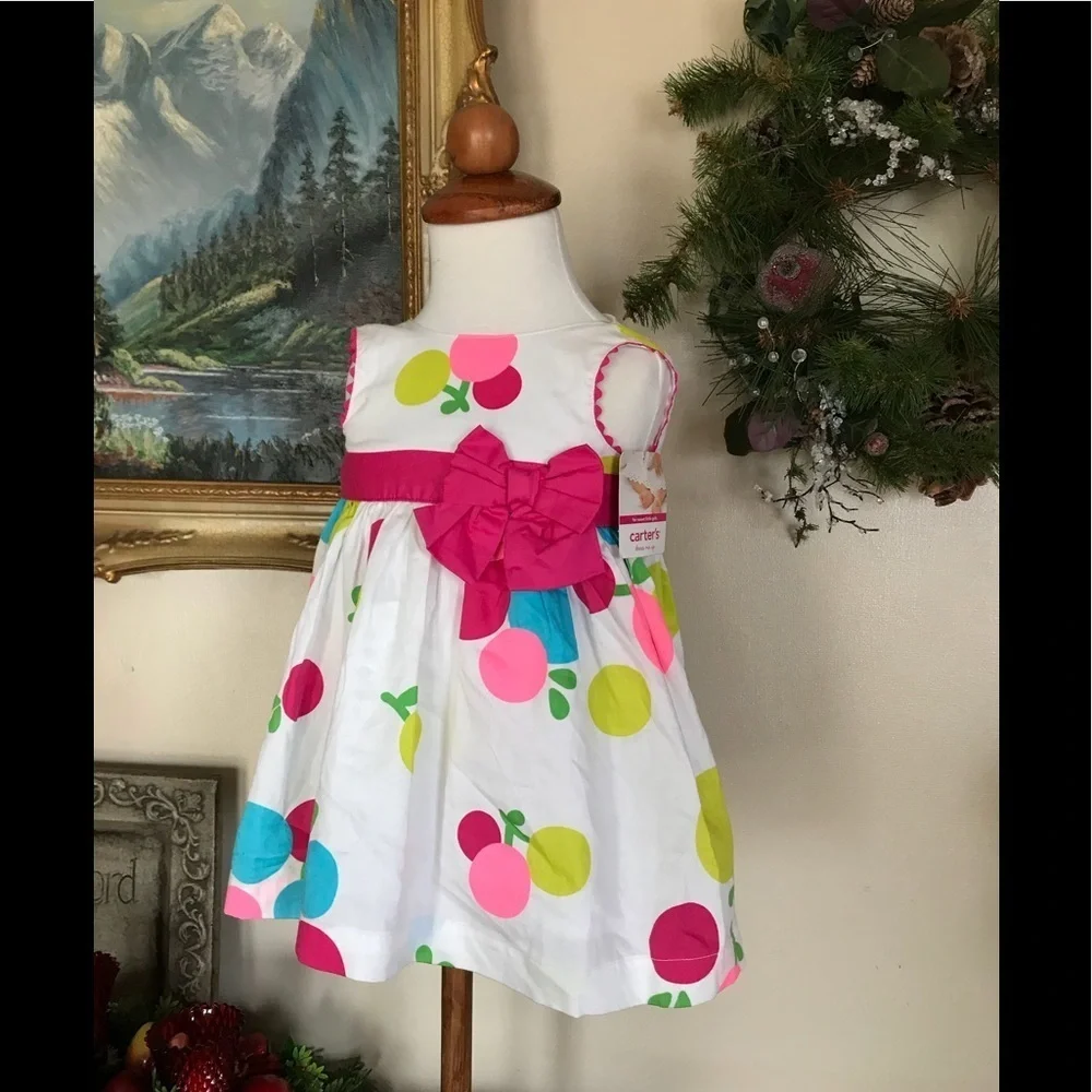 Carter’s Baby Girl Dress NWT